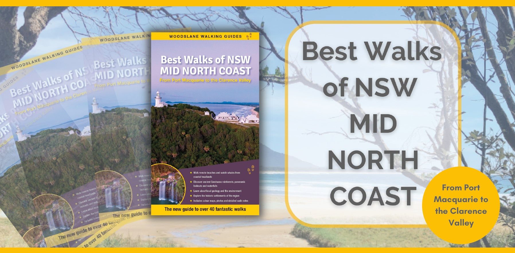 Yvonne Everett shares 40 bushwalks from Port Macquarie to the Clarence Valley