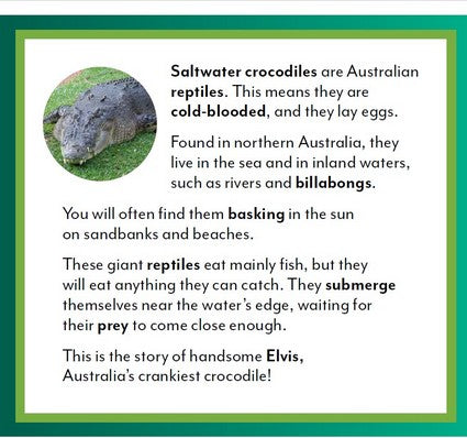 Elvis the Crocodile