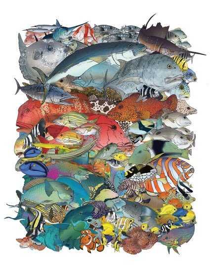 Wildlife of Australia's Great Barrier Reef
