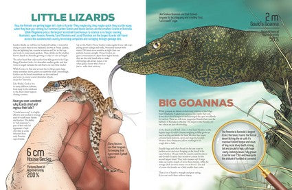 Myke Mollard's Mini to Maxi