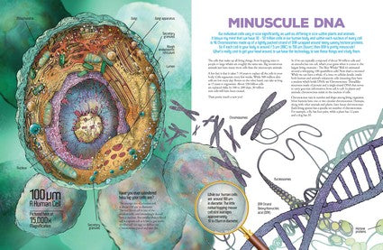 Myke Mollard's Mini to Maxi