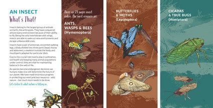 What's That? Australian Insects