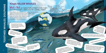 What's That? Australian Whales, Dolphins & Porpoises