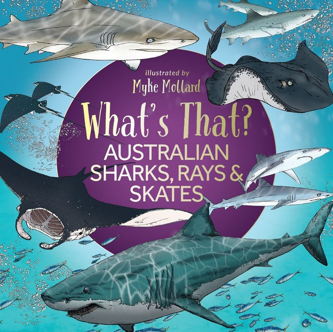 What's That? Australian Sharks, Rays & Skates