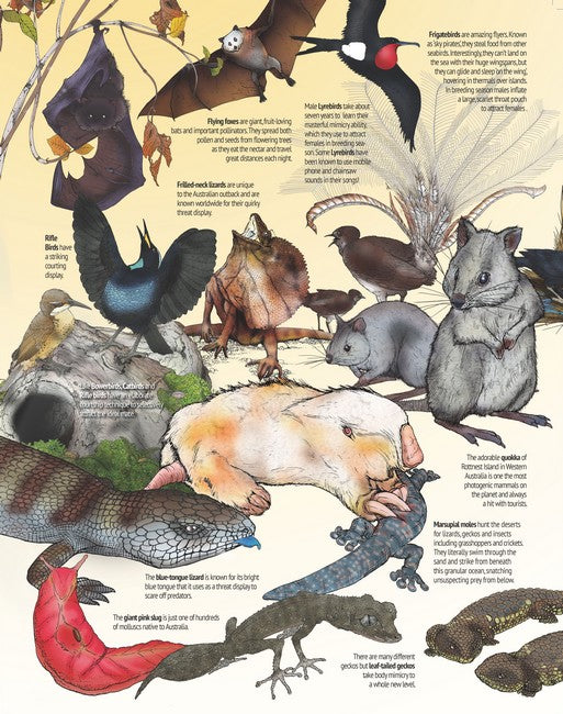 Wonderfully Weird Creatures of the World