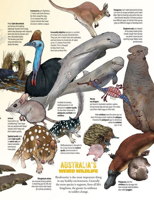 Wonderfully Weird Creatures of the World