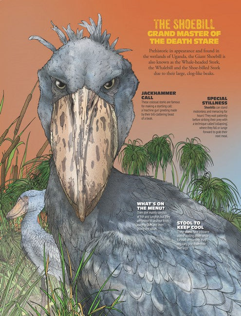 Wonderfully Weird Creatures of the World