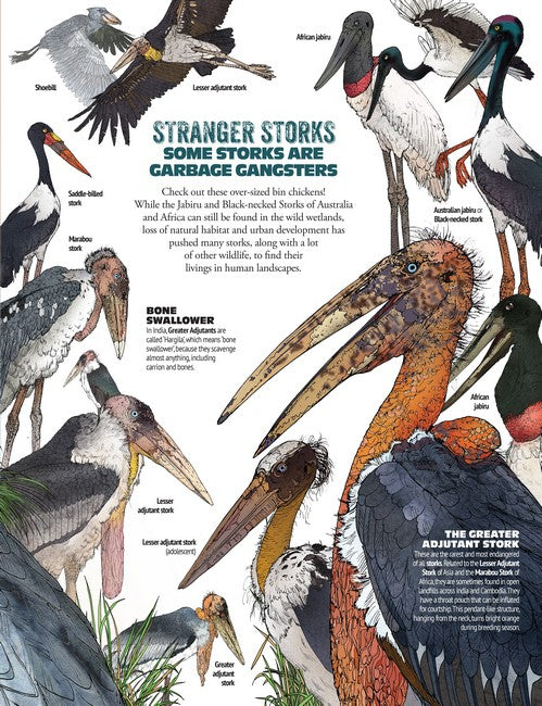 Wonderfully Weird Creatures of the World
