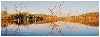 Wonder of Nature's Way