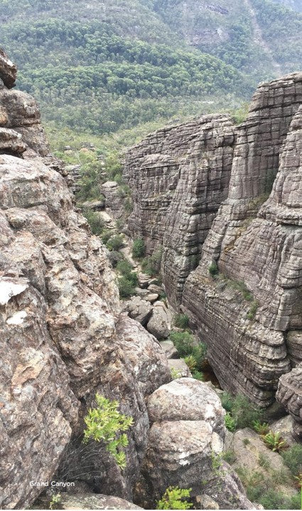 Best Walks of the Gariwerd Grampians National Park 2/e