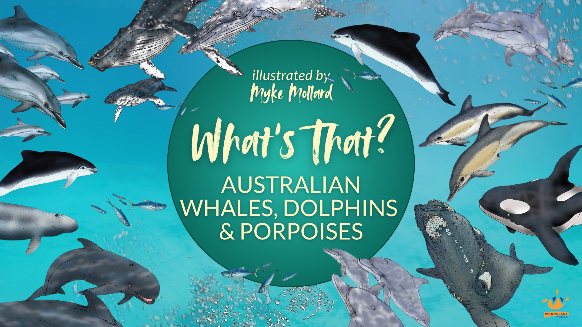 What's That? Australian Whales, Dolphins & Porpoises