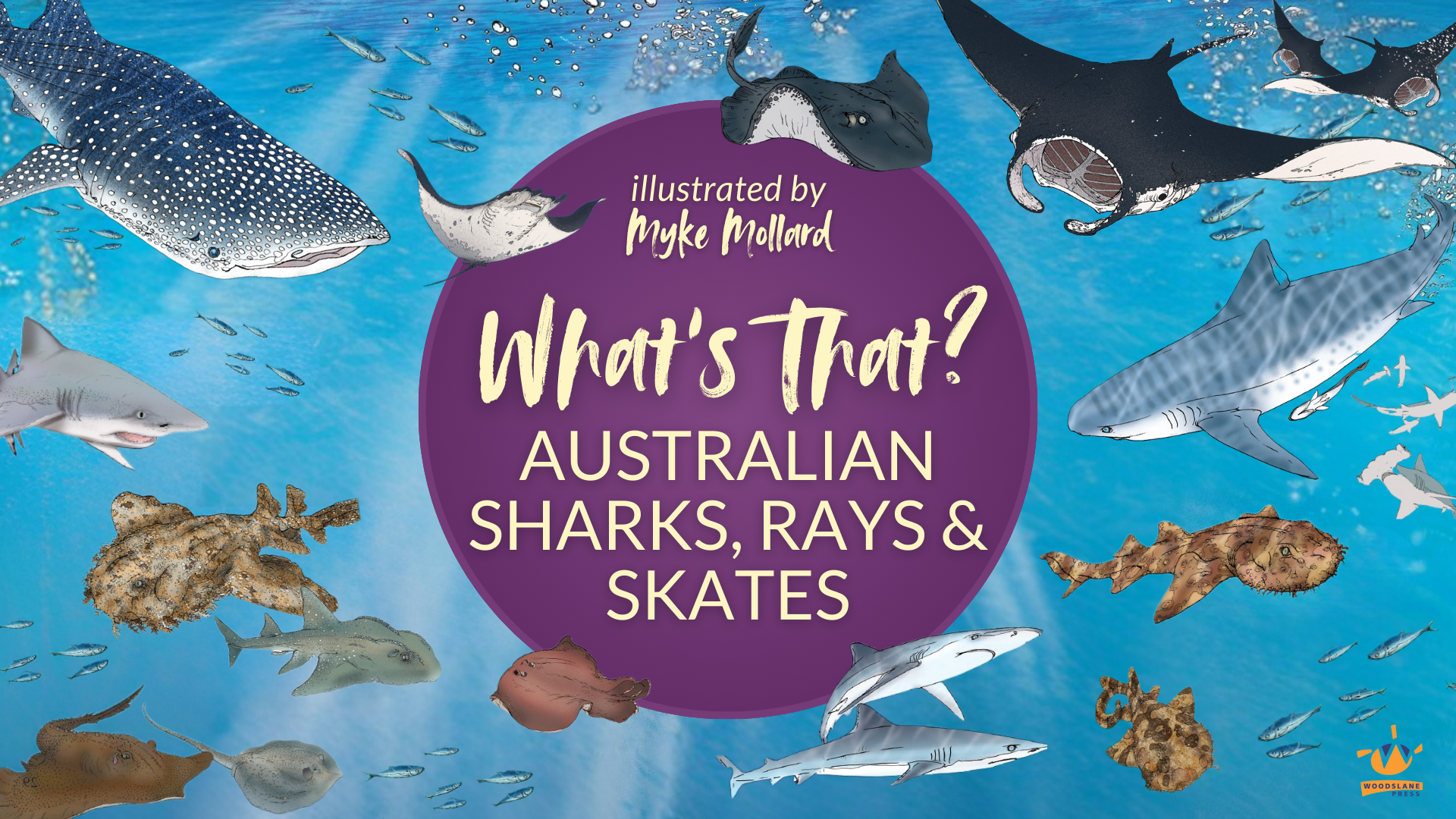 What's That? Australian Sharks, Rays & Skates