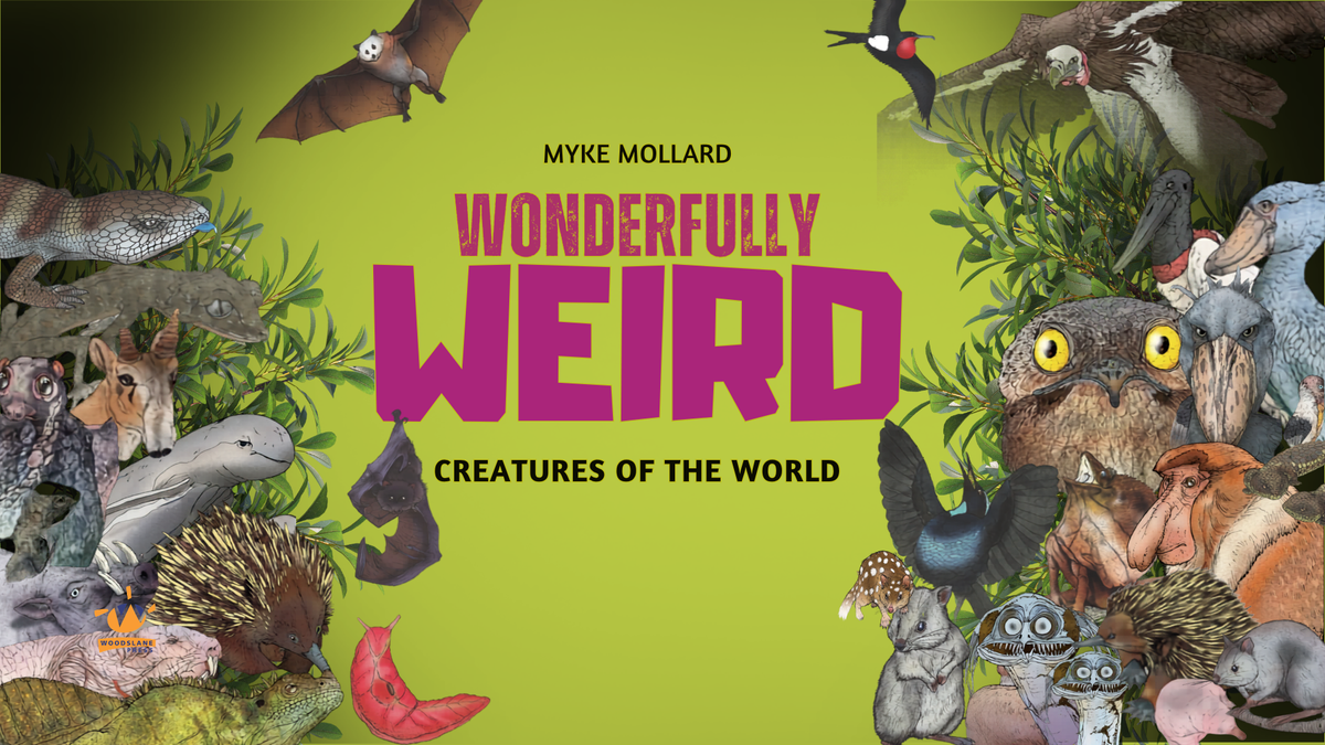Wonderfully Weird Creatures of the World - Creator Interview