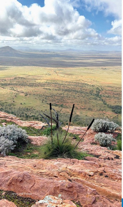 Best Walks of the Flinders Ranges