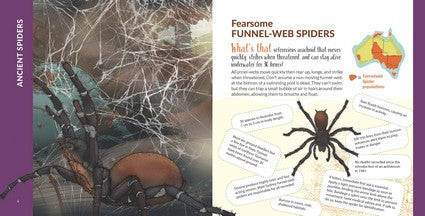 What's That? Australian Spiders