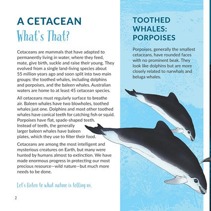 What's That? Australian Whales, Dolphins & Porpoises