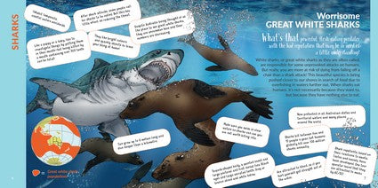 What's That? Australian Sharks, Rays & Skates