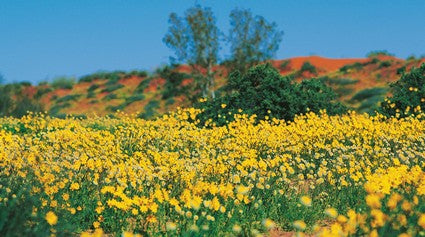 Australian Geographic Outback Queensland