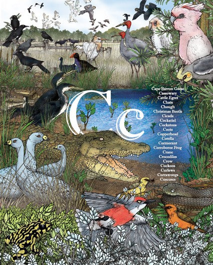 An A-Z of Australian Bush Creatures