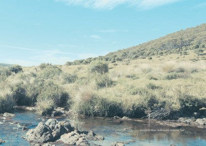 High Country Huts & Homesteads