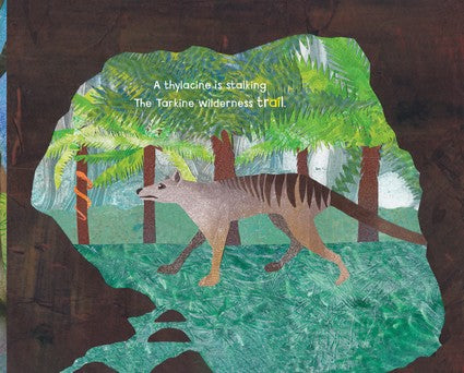 The A in the Rainforest
