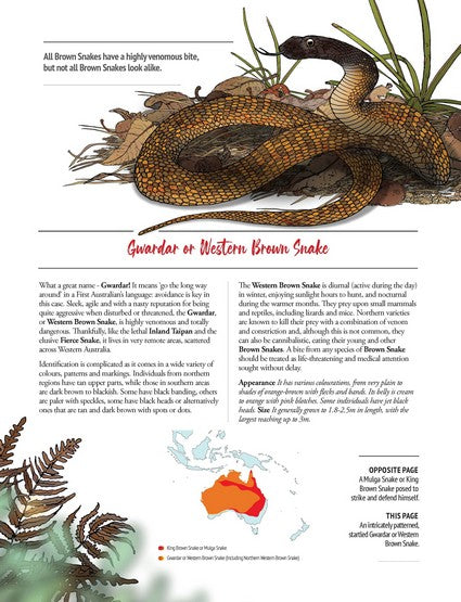 Australia's Dangerous Bush Creatures